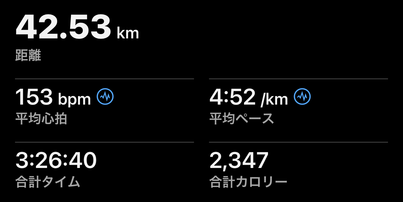 水戸漫遊マラソンのレースデータ（Garmin）
