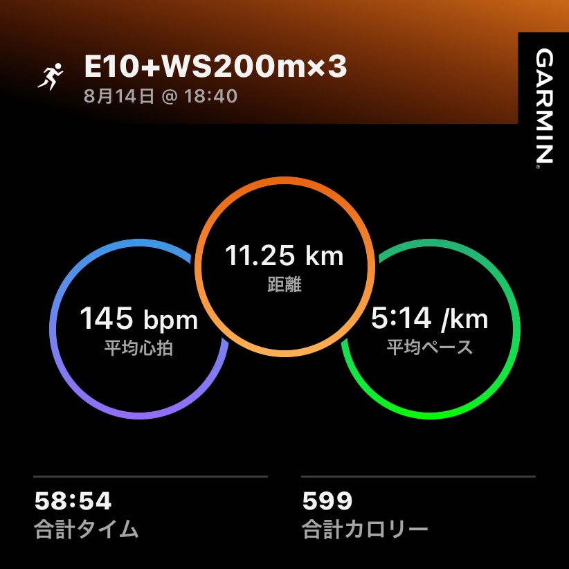 8/14 E10とWS200m3本の練習ログ