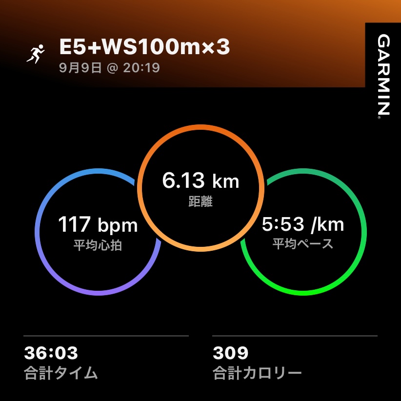 9/9 E5とWS100m3本の練習ログ