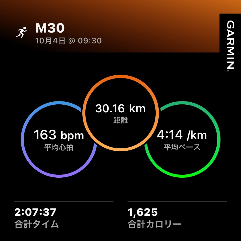 10/4 水戸ランフェス30km走の練習ログ
