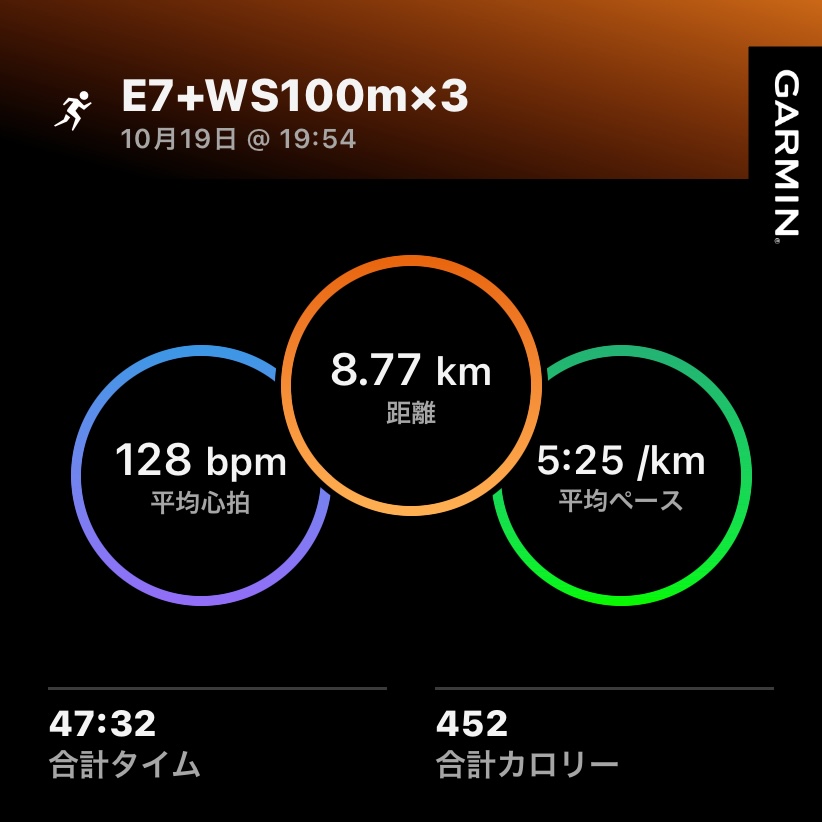 10/19 軽めジョグとWS100m3本の練習ログ